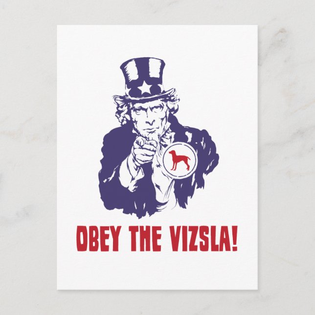 Cartão Postal Vizsla (Frente)