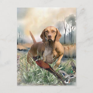 Cartão Postal Vizsla, Arte