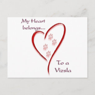 Cartão Postal Vizsla Heart Pertence