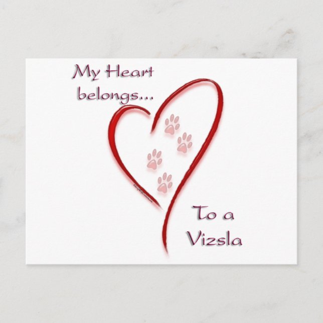 Cartão Postal Vizsla Heart Pertence (Frente)