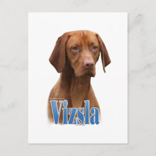 Cartão Postal Vizsla; Raça de cachorro Vizsla; Cão Vizsla; Raça 