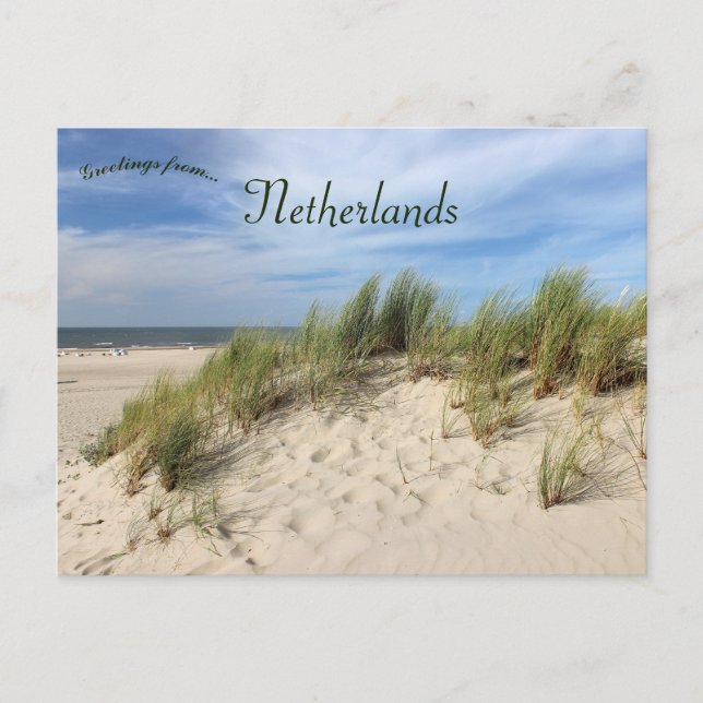 Cartão Postal Vlieland Beach Dunes Netherlands (Frente)