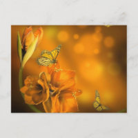 vlinders oranje