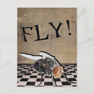 Cartão Postal Voa! Voa! Voa!