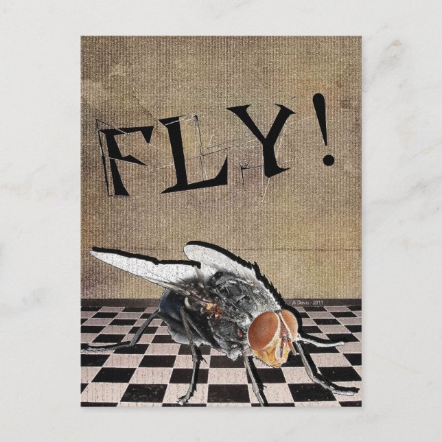 Cartão Postal Voa! Voa! Voa! (Frente)