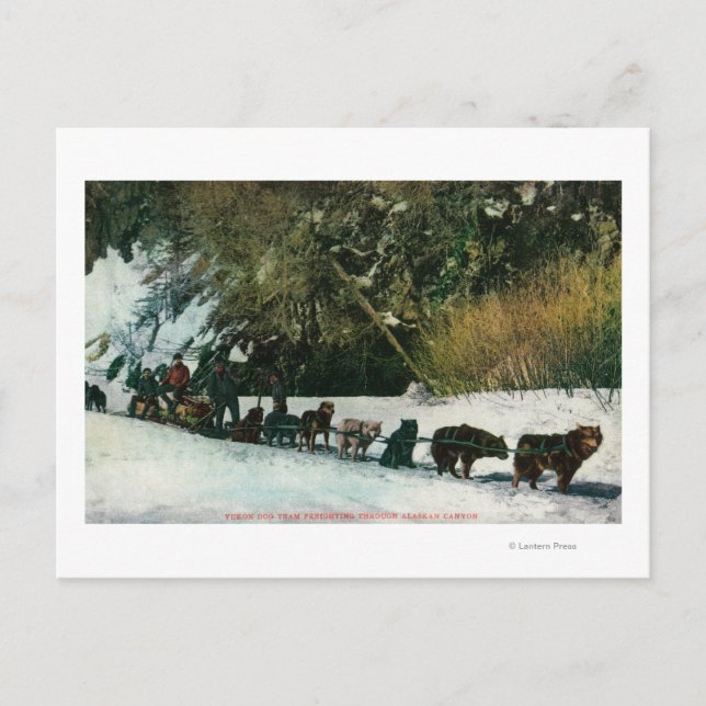Cartão Postal Voando Pela Equipe Yukon Dog Através Do Desfiladei (Frente)