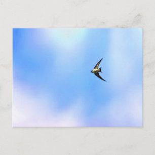 Cartão Postal Voar