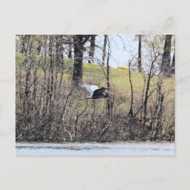 Cartão Postal Voar por (Frente)