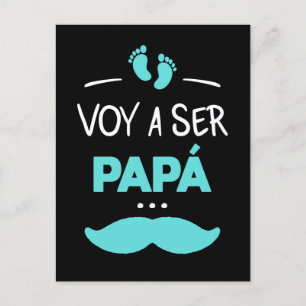 Cartão Postal Voar um ser papa