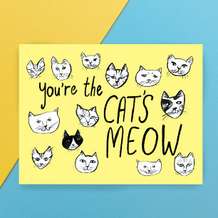 Cartão Postal VOCÊ É O XODÓ! Postais de Gatinhos Fofos