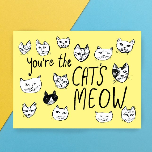 Cartão Postal VOCÊ É O XODÓ! Postais de Gatinhos Fofos (YOU'RE THE CAT'S MEOW Cute Kittens Valentines Postcard
)