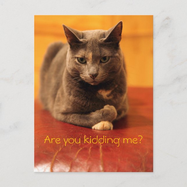 Cartão Postal Você está me gozando? (Frente)