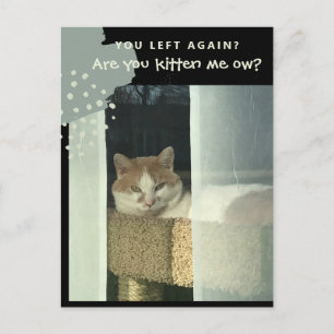 Cartão Postal Você está me kittenando gato no poleiro