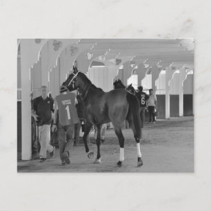 Cartão Postal Você está me matando por Adios Charlie