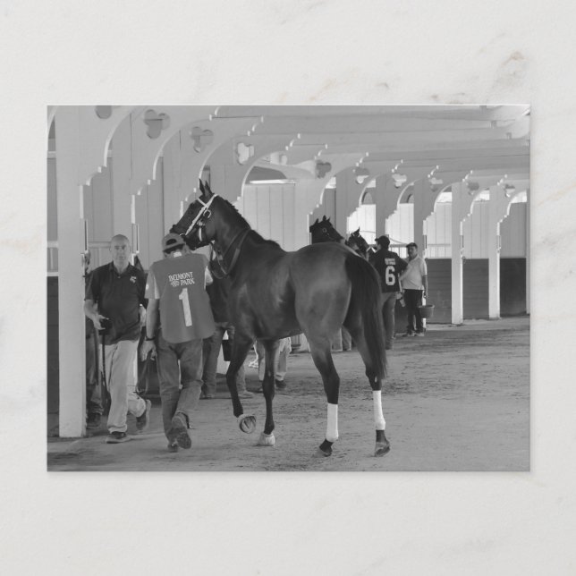 Cartão Postal Você está me matando por Adios Charlie (Frente)