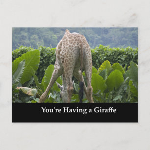 Cartão Postal Você está tendo uma girafa!