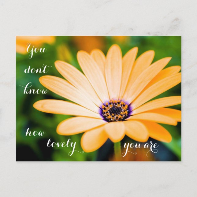 Cartão Postal Você não sabe o quanto você é adorável (Frente)