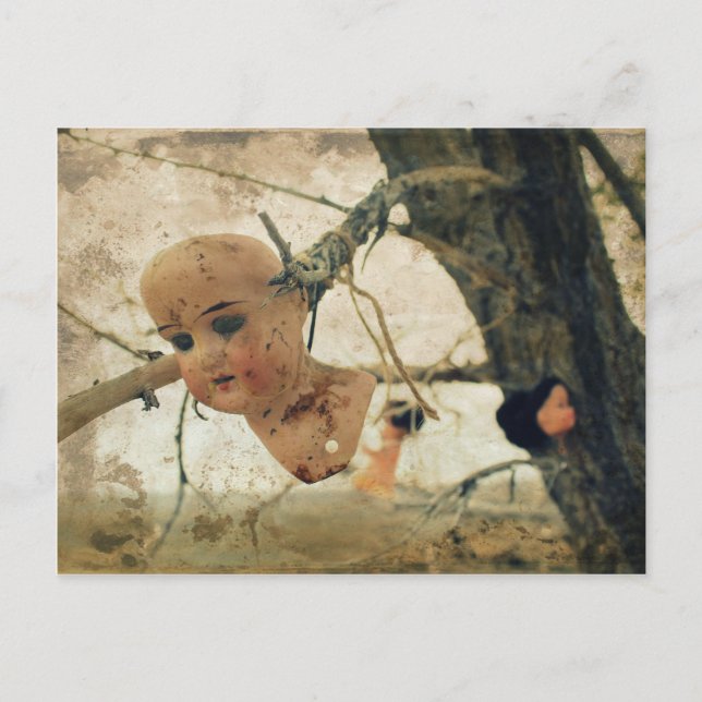 Cartão Postal Você nunca é muito velho para brincar com bonecas! (Frente)