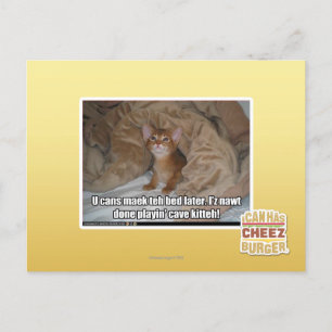 Cartão Postal Você pode dormir mais tarde.