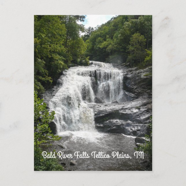 Cartão Postal Você Pode Obrigado O Cartão-Postal Vertical Da Chu (Frente)