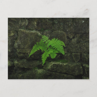 Cartão Postal Você pode sobreviver...