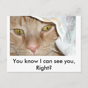 Cartão Postal Você sabe que não posso te ver, Gato de Tabby Ce