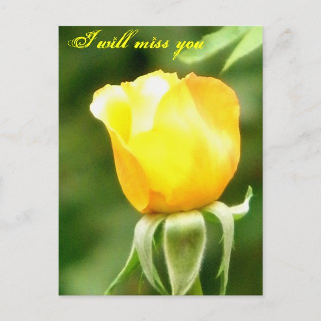 Cartão Postal Você será lembrado/Qualquer Ocasião_Carta Postal (Frente)