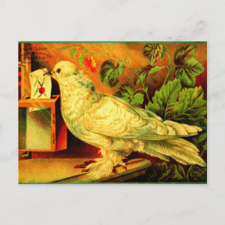 Cartão Postal Você tem correio!