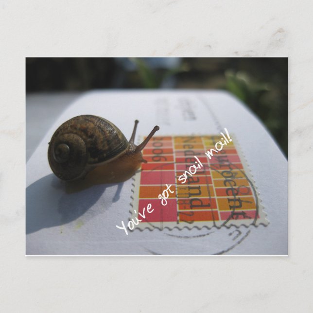 Cartão Postal você tem correio de caracol (Frente)