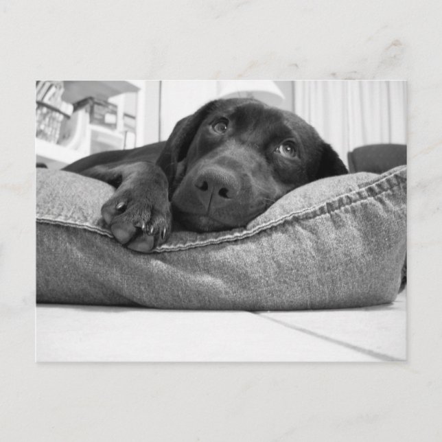 Cartão Postal Você vai jogar? (Frente)