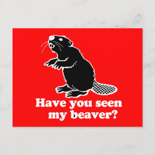 CARTÃO POSTAL VOCÊ VIU O MEU BEAVER?