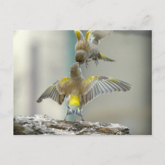 Cartão Postal vogais