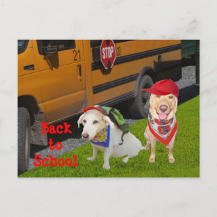 Cartão Postal Volta à escola personalizável