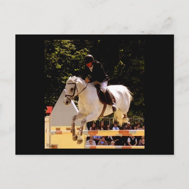 Cartão Postal Voo (Frente)