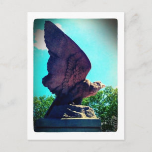 Cartão Postal voo da águia