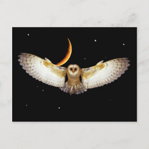 Cartão postal "Voo Noturno"