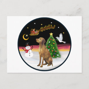 Cartão Postal Voo noturno (R) - Vizsla