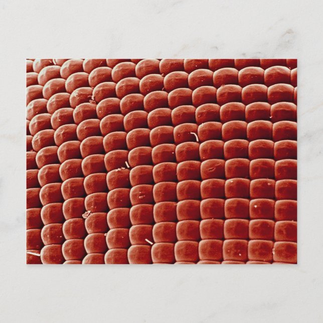 Cartão Postal Voo - olho (Frente)