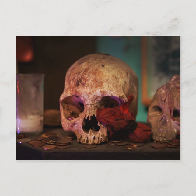 Cartão Postal Voodoo Hoodoo de Nova Orleans (Frente)