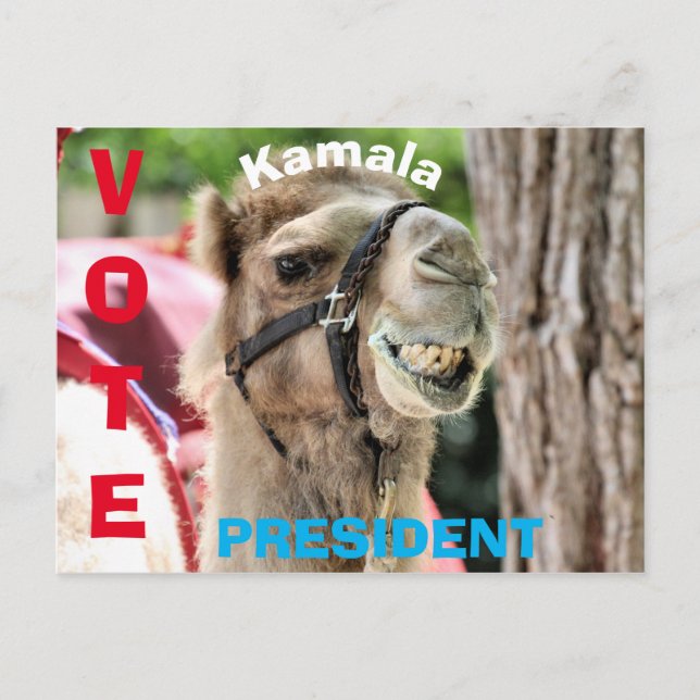 Cartão Postal Votação (Frente)