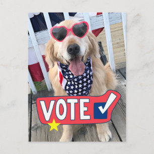 Cartão Postal Voto de Ouro Retriever de Cachorro Patriótico