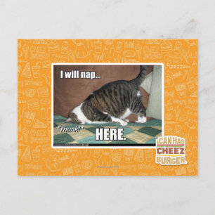 Cartão Postal Vou dormir aqui