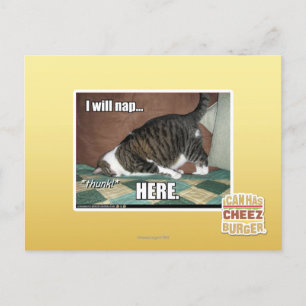 Cartão Postal Vou dormir aqui