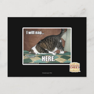 Cartão Postal Vou dormir aqui