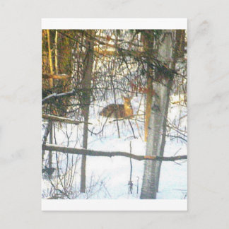 Cartão Postal Wґ ḯ ℯ ♏ ℴ ti da α ✐ da ℯ