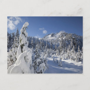 Cartão Postal WA, Alpine Lakes Wilderness, bacia do Snow Lake