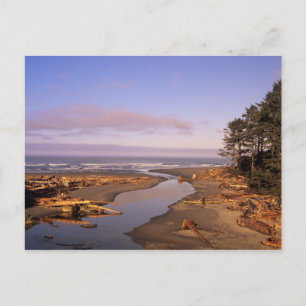 Cartão Postal WA, Olimpiadas NP, Kalaloch Beach e Kalaloch