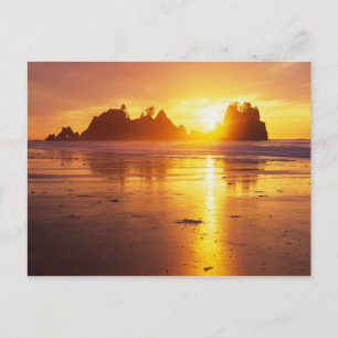 Cartão Postal WA, Olimpiadas NP, Shi Shi Beach no pôr do sol, P