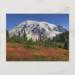 Cartão Postal WA, Parque Nacional do Mt. Rainier, Vale do Paraí