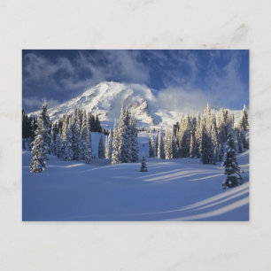 Cartão Postal WA, Parque Nacional Mt. Rainier, Mt. Rainier e Par